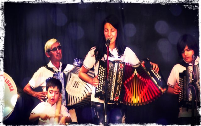 concertinas03a